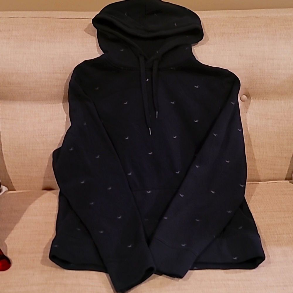 Hollister Hoodie